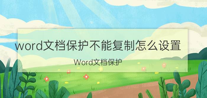 word文档保护不能复制怎么设置 Word文档保护